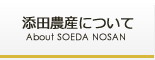 添田農産について
